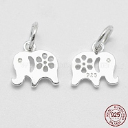 925 Sterling Silver Pendants, Elephant, with 925 Stamp, Silver, 10x10x1.5mm, Hole: 4mm(X-STER-K170-04S)