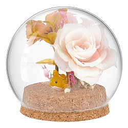 Round Glass Dome Cover, Decorative Display Case, Cloche Bell Jar Terrarium with Cork Base, Clear, 99x92mm(AJEW-WH0513-64)