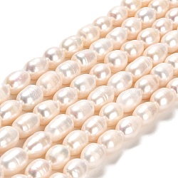 Natural Cultured Freshwater Pearl Beads Strands, Rice, Grade AA, Lime, 8~11x7~7.5mm, Hole: 0.7mm, about 35~36pcs/strand, 13.39''(34cm)(PEAR-E016-190)