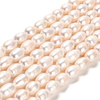 Natural Cultured Freshwater Pearl Beads Strands, Rice, Grade AA, Lime, 8~11x7~7.5mm, Hole: 0.7mm, about 35~36pcs/strand, 13.39''(34cm)