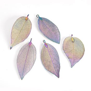 Electroplated Natural Leaf Big Pendants, with Iron Findings, Multi-color Plated, 70~100x30~50x1mm, Hole: 3x6mm