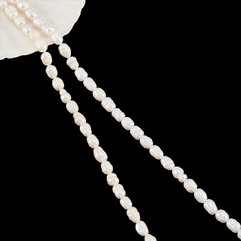 Nbeads 2 Strands 2 Styles Natural Cultured Freshwater Pearl Beads Strands, with Screw Thread, Rice, White, 6~9x6~7mm, Hole: 0.5~0.8mm, 1 strand/style