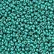 ミユキラウンドロカイユビーズ(SEED-X0054-RR5106)-2