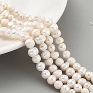 Natural Cultured Freshwater Pearl Beads Strands, Potato, Antique White, 6~7mm, Hole: 0.6mm, about 29pcs/strand, 6.69 inch(17cm)(PEAR-C003-12A)