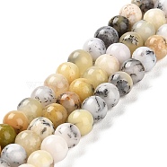 Natural African Opal Beads Strands, Round, 5.8~6.8mm, Hole: 0.8mm, about 62~65pcs/strand, 15.24~15.75''(38.7~40cm)(G-B048-B03-01)
