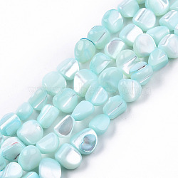 Natural Trochid Shell/Trochus Shell Beads Strands, Dyed, Nuggets, Pale Turquoise, 7.5~10.5x6.5~9.5x4~9mm, Hole: 0.8mm, about 48~49pcs/strand, 15.16 inch~15.75 inch(38.5~40cm)(SSHEL-N032-49-A03)