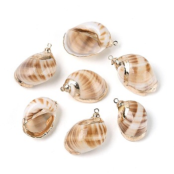 Electroplate Natural Spiral Shell Pendants, Conch Charms with Golden Tone Iron Loops, Peru, 25~32.5x18~23x12~18mm, Hole: 1.4~1.9mm