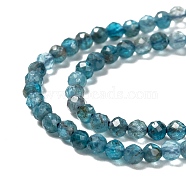 Natural Apatite Beads Strands, Faceted, Round, 3mm, Hole: 0.5mm, about 125pcs/strand, 15.50 inch(39.36cm)(G-K185-02-3mm)