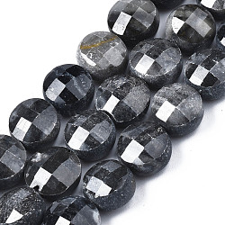 Natural Black Silk Stone/Netstone Beads Strands, Faceted, Flat Round, 9.5~10.5x6mm, Hole: 1~1.2mm, about 38pcs/strand, 14.57 inch~14.72 inch(37cm~37.4cm)(G-S359-367)