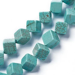 Dyed & Heated Natural Howlite Beads Strands, Cube, 16.5~19x17~19x12~13mm, Hole: 1mm, about 21pcs/strand, 15.3 inch(38.9cm)(G-F592-06-C)