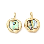 Natural Paua Shell Pendants, Brass Irregular Disc Charms, Colorful, Real 18K Gold Plated, 20x15.5x3mm, Hole: 2x4mm(KK-D255-11G)