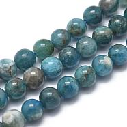 Natural Apatite Beads Strands, Grade AB, Round, 10mm, Hole: 1.2mm, about 41pcs/strand, 14.9 inches(38cm)(G-I254-08D)