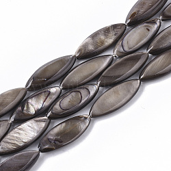 Freshwater Shell Beads Strands, Dyed, Horse Eye, Coffee, 20~21.5x7~8x3.5~4.5mm, Hole: 1mm, about 19pcs/Strand, 15.24 inch~15.55 inch(X-SHEL-T014-007B)
