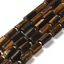 Natural Tiger Eye Beads Strands, with Seed Beads, Faceted, Column, 8.5~11x5.5~6.5mm, Hole: 1mm, about 14~15pcs/strand, 7.48''(19cm)(G-N327-06-21)