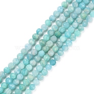 Natural Amazonite Beads Strands, Faceted, Round, 3~3.5mm, Hole: 0.6mm, about 117~126pcs/strand, 15.16''~15.55''(38.5~39.5cm)(G-P500-01B-01)