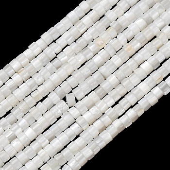 Natural Freshwater Shell Beads Strands, Disc, Heishi Beads, White, 3x2mm, Hole: 0.6mm, about 40pcs/strand, 77.95''(198cm)