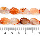 Natural Agate Carved Beads Strands(G-H024-B01-01)-5