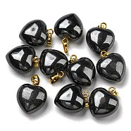 Natural Black Stone Pendants, with Golden Tone Brass Findings, Heart Charm, 18x15~15.5x6~8mm, Hole: 6x3mm(G-I311-A19-G-01)