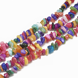 Freshwater Shell Beads Strands, Dyed, Chip, Colorful, 4~14x4~8x1~8mm, Hole: 1mm, about 210~250pcs/strand, 31.4 inch(X-SHEL-S270-01)