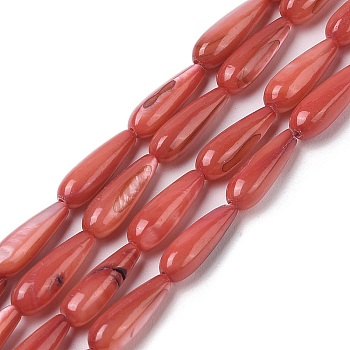 Natural Freshwater Shell Beads Strands, Dyed, Teardrop, Indian Red, 15.5x5mm, Hole: 0.4mm, about 25pcs/strand, 15.08''(38.3cm)