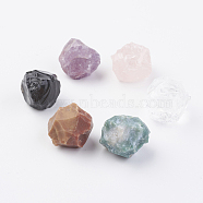 Rough Raw Natural Gemstone Home Display Decorations, Nuggets, 12~24x11~24x9~22mm(G-F526-01)