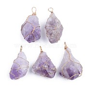 Rough Raw Natural Amethyst Pendants, Wire Wrapped Pendants, with Golden Plated Iron Findings, Nuggets, 45~60x20~35x15~30mm, Hole: 4~6mm(G-S359-175)