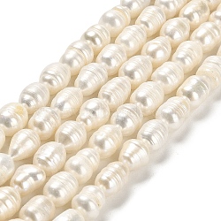Natural Cultured Freshwater Pearl Beads Strands, Rice, Grade AB, Floral White, 10~10.5x8~9mm, Hole: 0.5mm, about 30~31pcs/strand, 13.39 inch(34cm)(PEAR-E016-083)