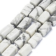 Natural Howlite Beads Strands, Nuggets, 11~14x6~8mm, Hole: 0.9mm, about 28~32pcs/strand, 15.75''(40cm)(G-O170-150)