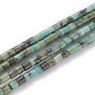 Natural African Turquoise(Jasper) Beads Strands, Column, 2x2mm, Hole: 0.8mm, about 154~160pcs/strand, 15.16~15.75 inch(38.5~40cm)(G-H255-08)
