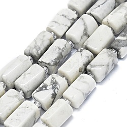 Natural Howlite Beads Strands, Nuggets, 11~14x6~8mm, Hole: 0.9mm, about 28~32pcs/strand, 15.75''(40cm)(G-O170-150)