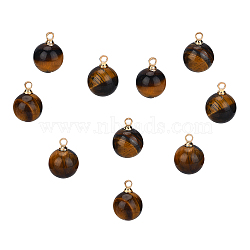 SUNNYCLUE Natural Tiger Eye Charms, with Golden Brass Loops, Round, 14x10.5mm, Hole: 1.5mm, 10pcs/box(G-SC0001-49C)