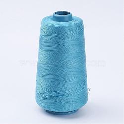 Polyester Thread, Sky Blue, 0.28mm, about 1749.78 yards(1600m)/roll(OCOR-WH0001-01)