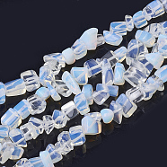Opalite Beads Strands, Chip, 6~20x4~8x1.5~8mm, Hole: 1mm, about 209pcs/strand, 35.1 inch(X-G-S280-20)