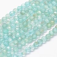 Natural Apatite Beads Strands, Faceted, Round, 3mm, Hole: 0.5~0.6mm, about 144~151pcs/strand, 15.3~15.7 inch(39~40cm)(G-F460-41)