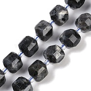 Natural Larvikite Beads Strands, Faceted Table Cut Cube Beads, with Seed Beads, 8.5~9x9~9.5x9~9.5mm, Hole: 1mm, about 36~38pcs/strand, 15.35~15.55''(39~39.5cm)(G-B125-O05-01)