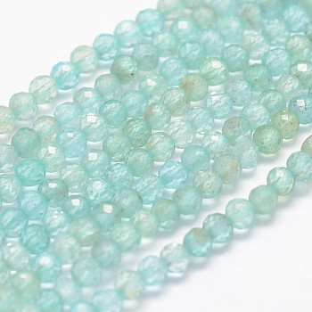 Natural Apatite Beads Strands, Faceted, Round, 3mm, Hole: 0.5~0.6mm, about 144~151pcs/strand, 15.3~15.7 inch(39~40cm)