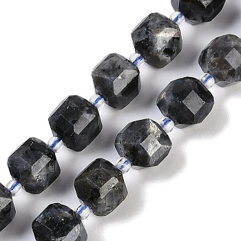 Natural Larvikite Beads Strands, Faceted Table Cut Cube Beads, with Seed Beads, 8.5~9x9~9.5x9~9.5mm, Hole: 1mm, about 36~38pcs/strand, 15.35~15.55''(39~39.5cm)