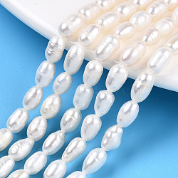 Natural Cultured Freshwater Pearl Beads Strands, Rice, Seashell Color, 6.5~8x4.5~5mm, Hole: 0.7~0.8mm, about 24~26pcs/strand, 7.09 inch(18cm)(PEAR-N012-04N)
