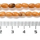Natural Dolomite Beads Strands(G-F765-A02-01)-5