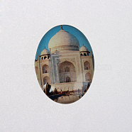 The White House Photo Glass Oval Cabochons, European Style, Colorful, 25x18x6mm(X-GGLA-N003-18x25-F21)