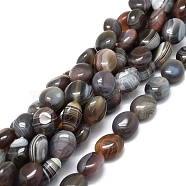 Natural Botswana Agate Beads Strands, Oval, 12x10x6mm, Hole: 1.2mm, about 34pcs/strand, 15.55''(39.5cm)(G-E576-14B)