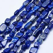 Natural Lapis Lazuli Beads Strands, Tumbled Stone, Nuggets, Grade AB, 5~12x4~9mm, Hole: 1mm, 15.7 inch~15.9 inch(40~40.5cm)(G-K203-18)