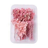 Dried Flowers, DIY Candle Soap Making Accessories, with Plastic Rectangle Box, Pink, 7.3~14x2.1~8.2cm(DIY-D052-05)