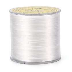 Flat Japanese Crystal Elastic Stretch Thread, for Bracelets Gemstone Jewelry Making Beading Craft, White, 0.5mm, about 328 yards(300m)/roll(EW-Z001-A12)