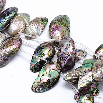 Natural Paua Shell Shell Beads Strands, Nuggets, Colorful, 10~22x24~50x4~9mm, Hole: 1mm, about 10pcs/strand, 15.7 inch