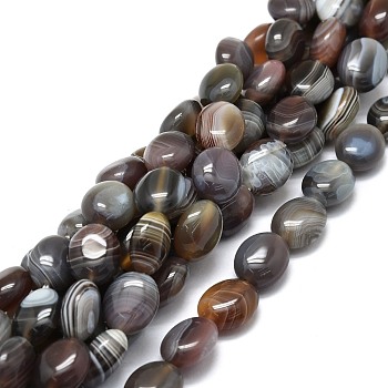 Natural Botswana Agate Beads Strands, Oval, 12x10x6mm, Hole: 1.2mm, about 34pcs/strand, 15.55''(39.5cm)