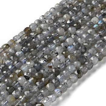 Natural Labradorite Beads Strands, Faceted, Square, 4.5x4.5x4.5mm, Hole: 0.8mm, about 85~98pcs/strand, 14.76''~15.98''(37.5~40.6cm)
