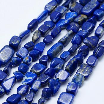 Natural Lapis Lazuli Beads Strands, Tumbled Stone, Nuggets, Grade AB, 5~12x4~9mm, Hole: 1mm, 15.7 inch~15.9 inch(40~40.5cm)