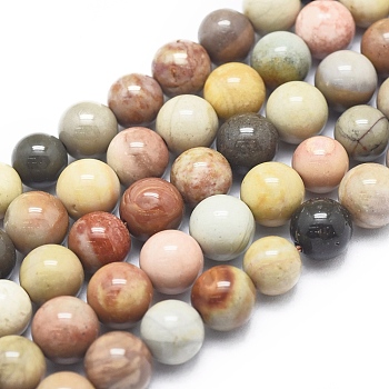 Natura Ocean Jasper Beads Strands, Round, 6mm, Hole: 0.5mm, about 62pcs/Strand, 15.75 inch(40cm)