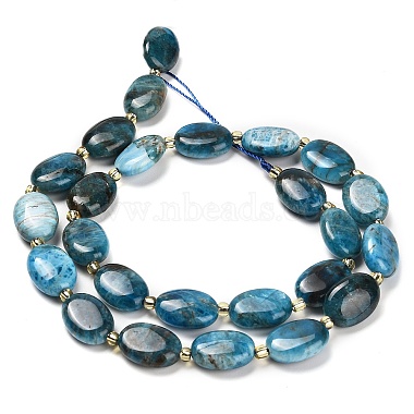 Natural Apatite Beads Strands(G-H005-A03-02)-3